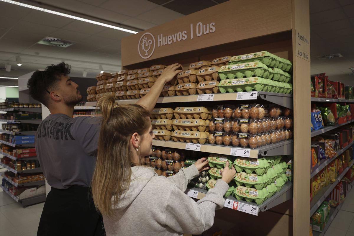 Port de Sagunt MRV VLC Venta de productos ecológicos en un hipermercado Consum