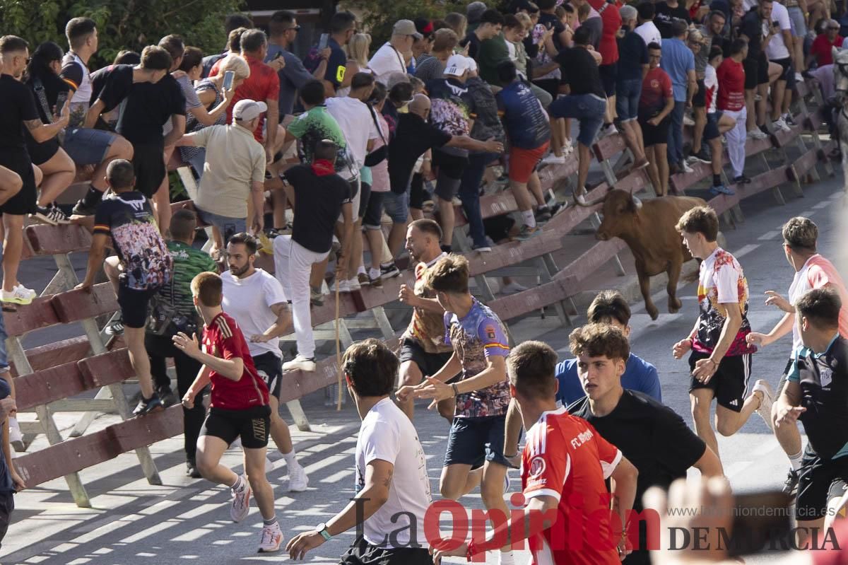 Primer encierro de las Fiestas de Moratalla
