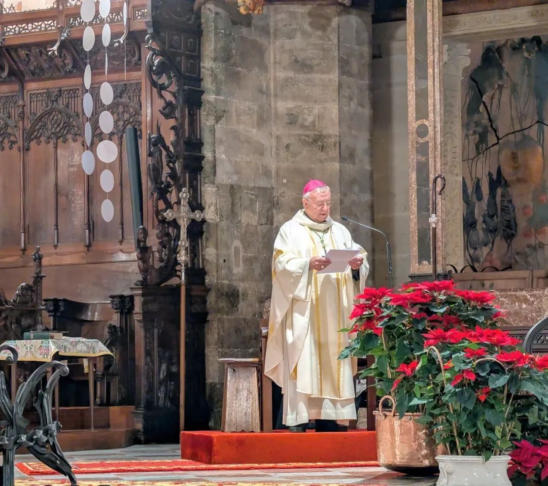 FOTOS | Festa de l'Estendard: El obispo de Mallorca pide una respuesta "humana y sin prejuicios" a la situación migratoria en Baleares