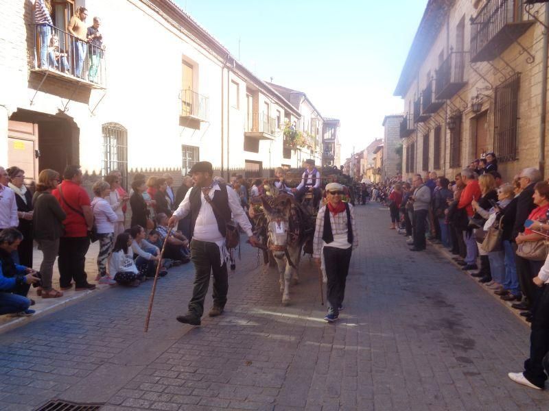 Desfile de carros en La Vendimia 2016 (Toro)