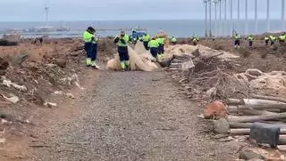 El paisaje del sureste de Gran Canaria se libera de 90 hectáreas de invernaderos abandonados
