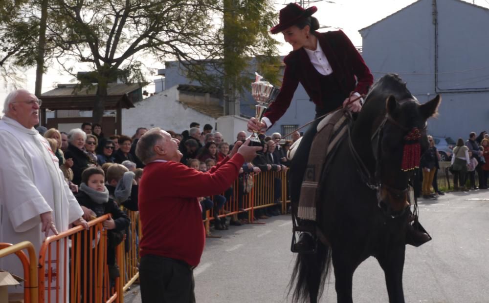 Fiesta de Sant Antoni Abad de Vera