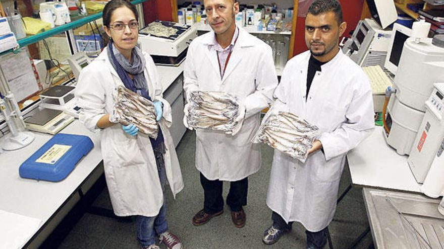 Pablo Presa, en el centro, con dos investigadores de su grupo, en la Facultad de Biología.  // Marta G. Brea