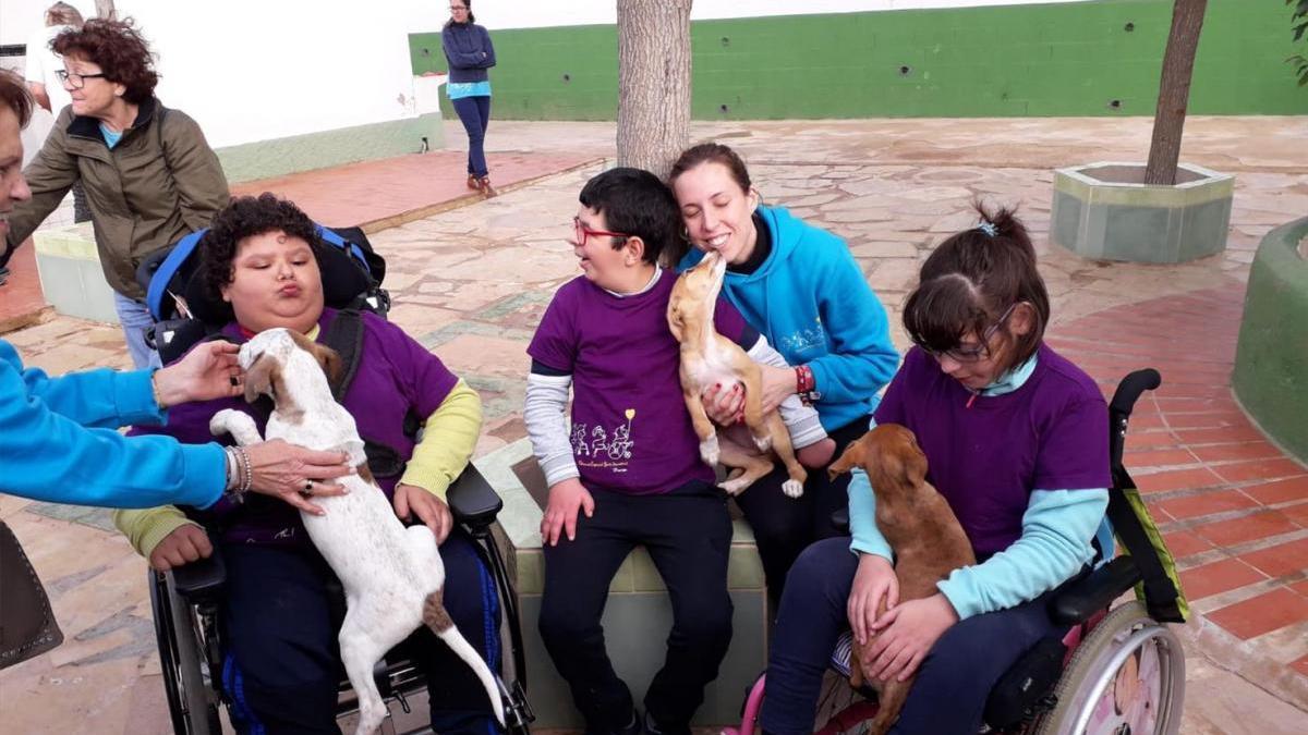 Perros para romper etiquetas en Vinaròs