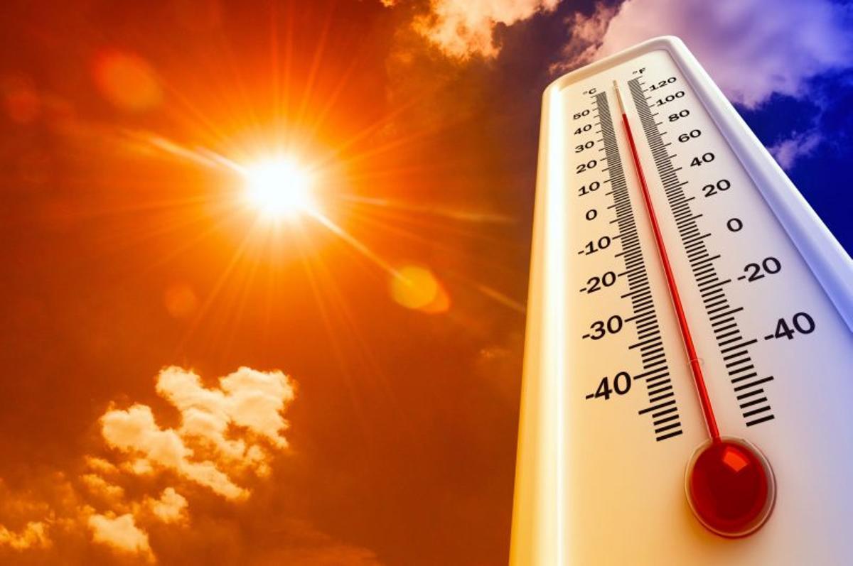 El proyecto busca proteger a los vecinos y visitantes de las altas temperaturas.