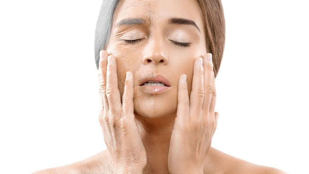 La ciencia avanza para mitigar el envejecimiento en tejidos.