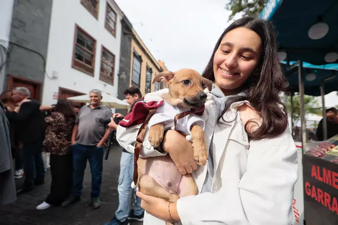 Feria de la Adopción Responsable de Animales de Compañía