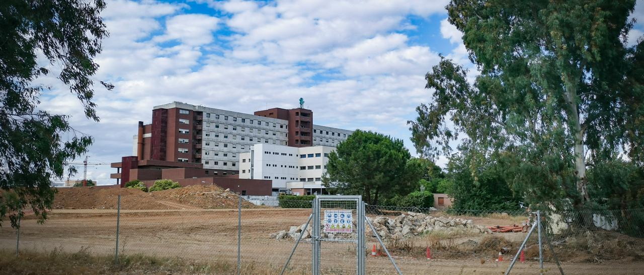 Algunos de los árboles en las inmediaciones del hospital universitario para los que han pedido protección.