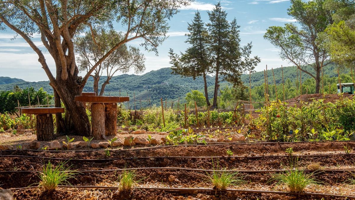 El huerto proporciona algunos productos al restaurante de Na Xamena