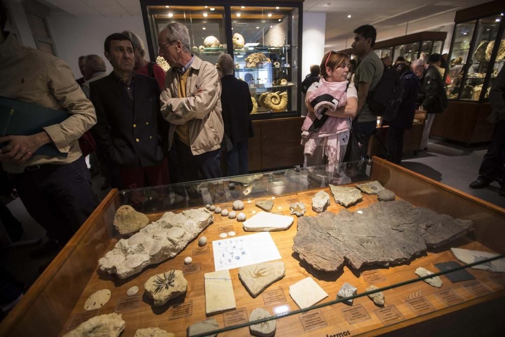 Inauguración del Museo de Geología de la Universidad de Oviedo