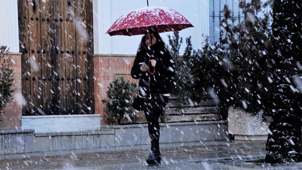 Nevada sobre Monesterio el pasado día 21 de diciembre