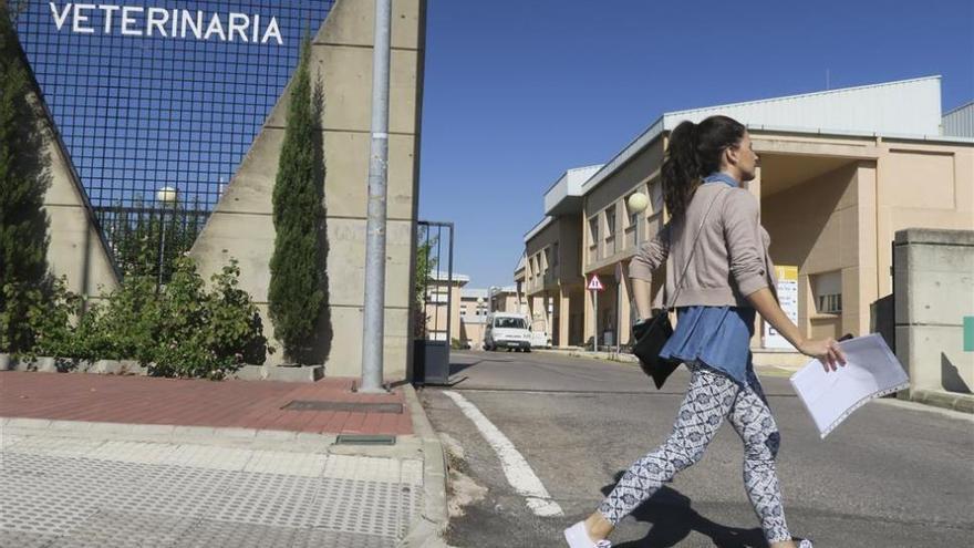 La Facultad de Veterinaria en Cáceres lidera el ranking de alumnos con 1.115 preinscritos