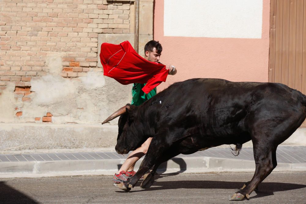 Encierro Urbano Bóveda de Toro