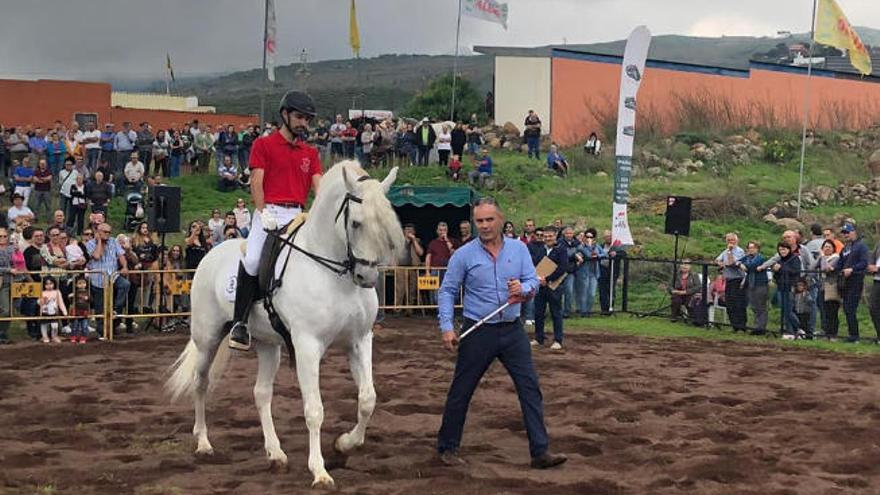 Homenaje al caballo en La Pasadilla