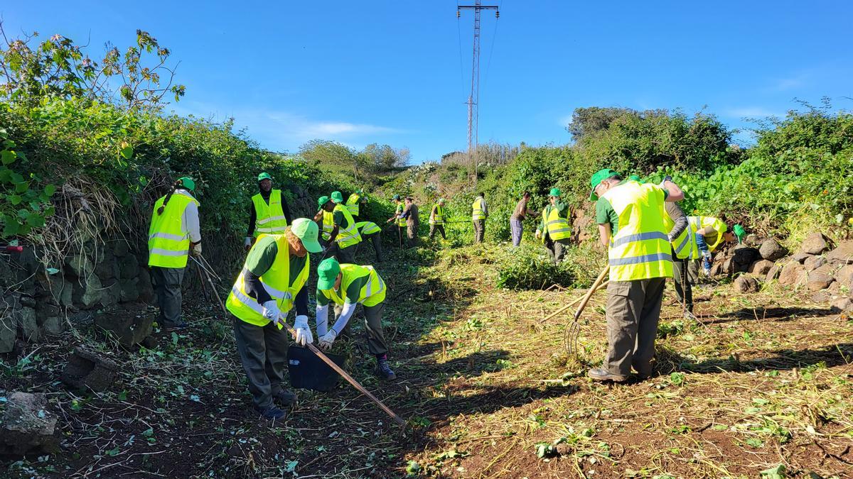 Un momento de los trabajos que se realizaban ayer en el barranco Cha Marta.