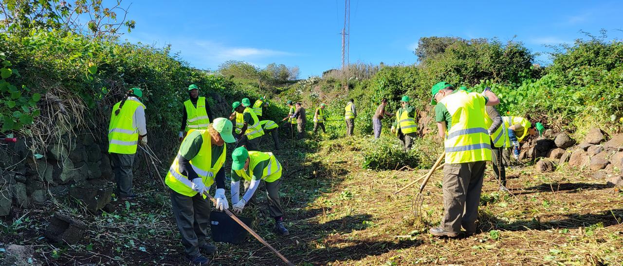 Un momento de los trabajos que se realizaban ayer en el barranco Cha Marta.