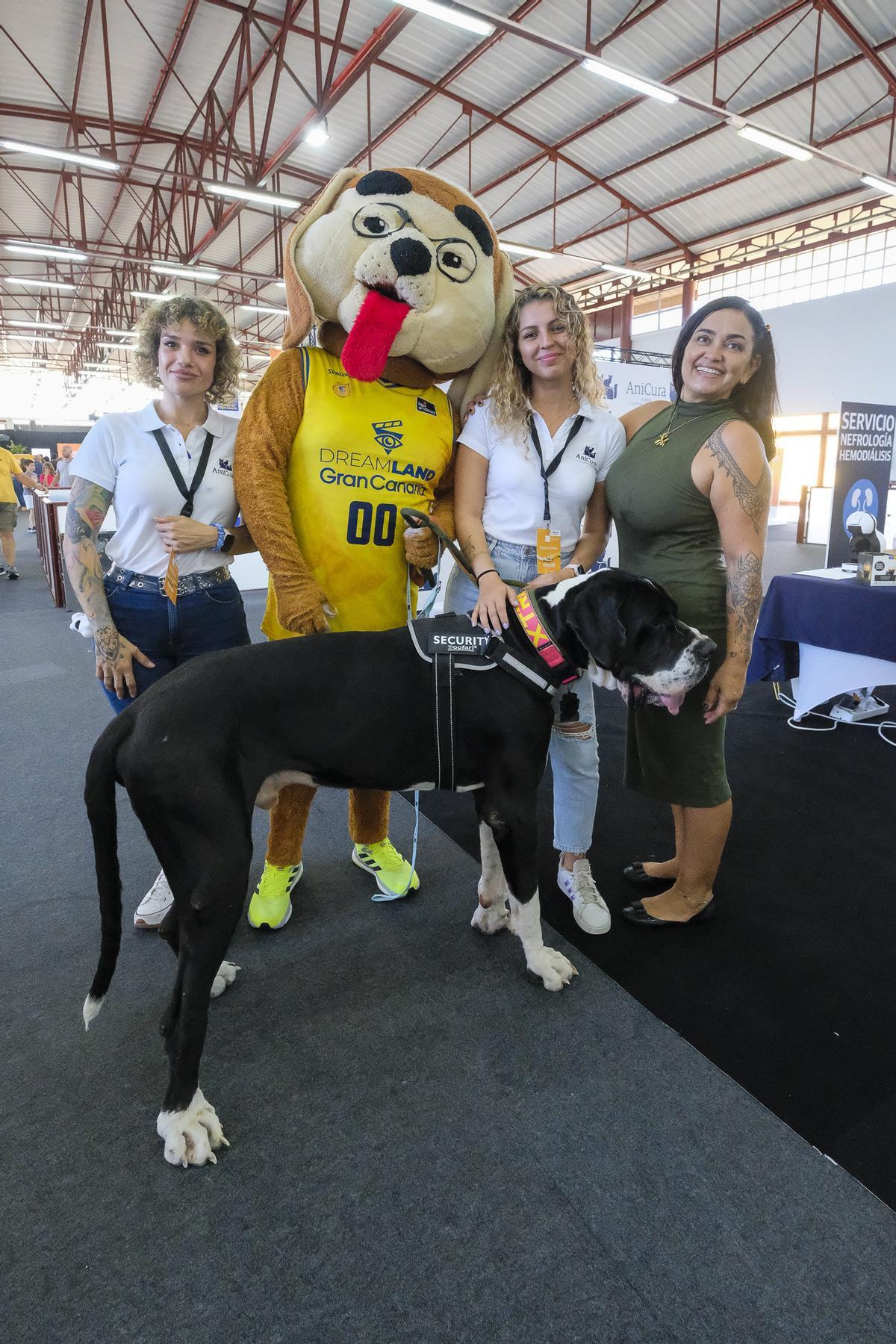 Feria Animundo