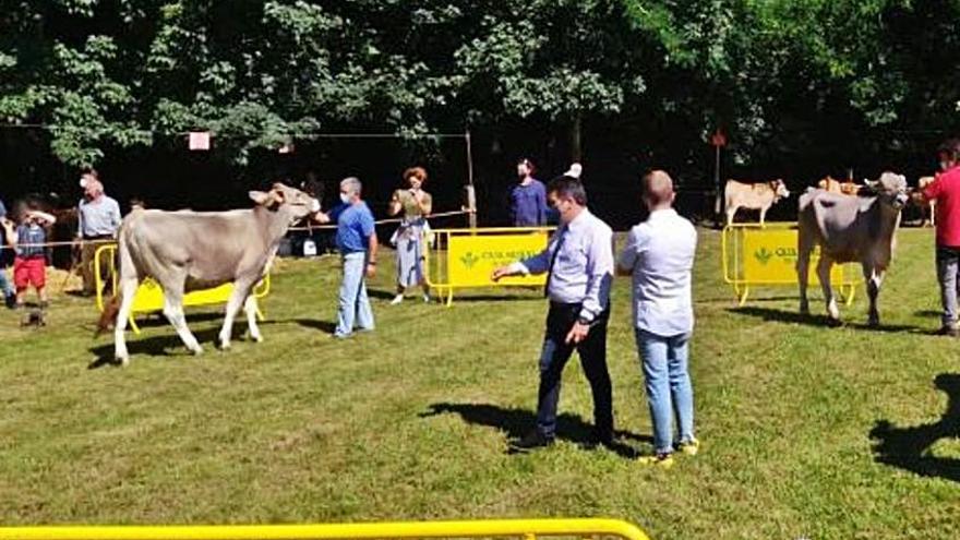 Arriondas concursa en fiestas