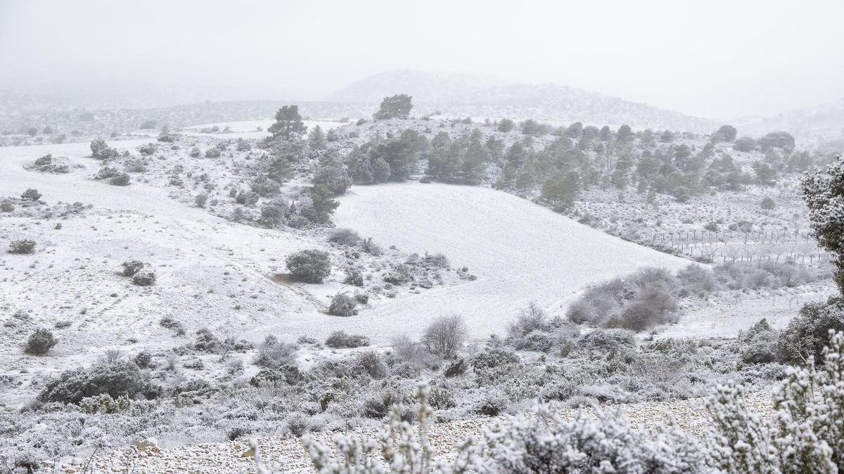 La nieve despliega su manto blanco sobre el Noroeste