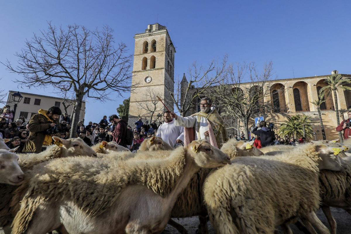 Una imagen clásica de las Beneïdes de Muro.