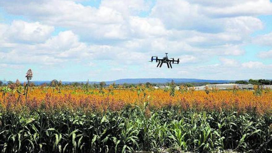 Un dron agrícola sobrevuela un campo de cultivo. | Clarrycola