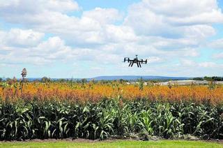 Soluciones digitales para una agricultura más rentable y sostenible