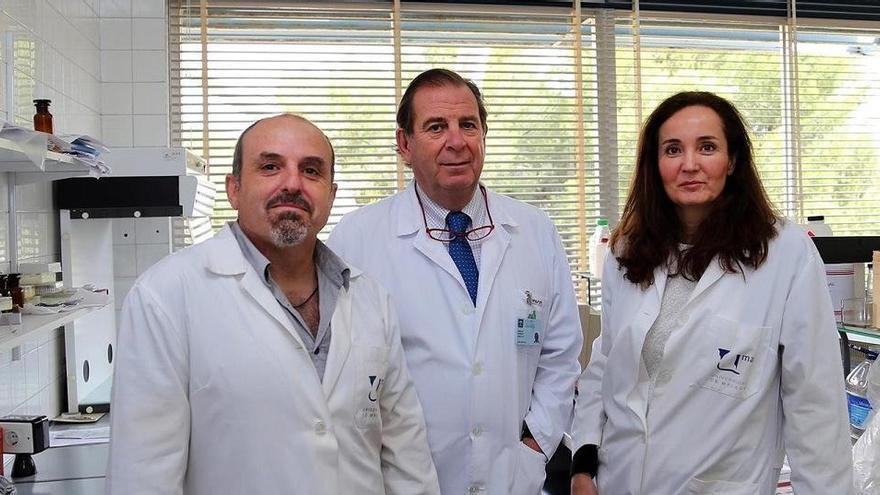 Equipo del Laboratorio de Fotobiología Dermatológica de la Universidad de Málaga.