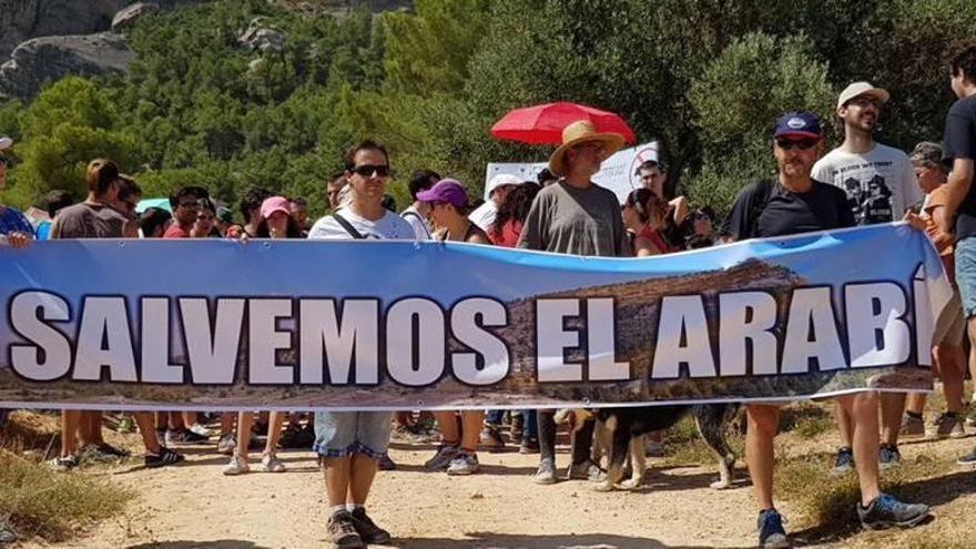 Miles de yeclanos se unen contra la granja porcina del Monte Arabí