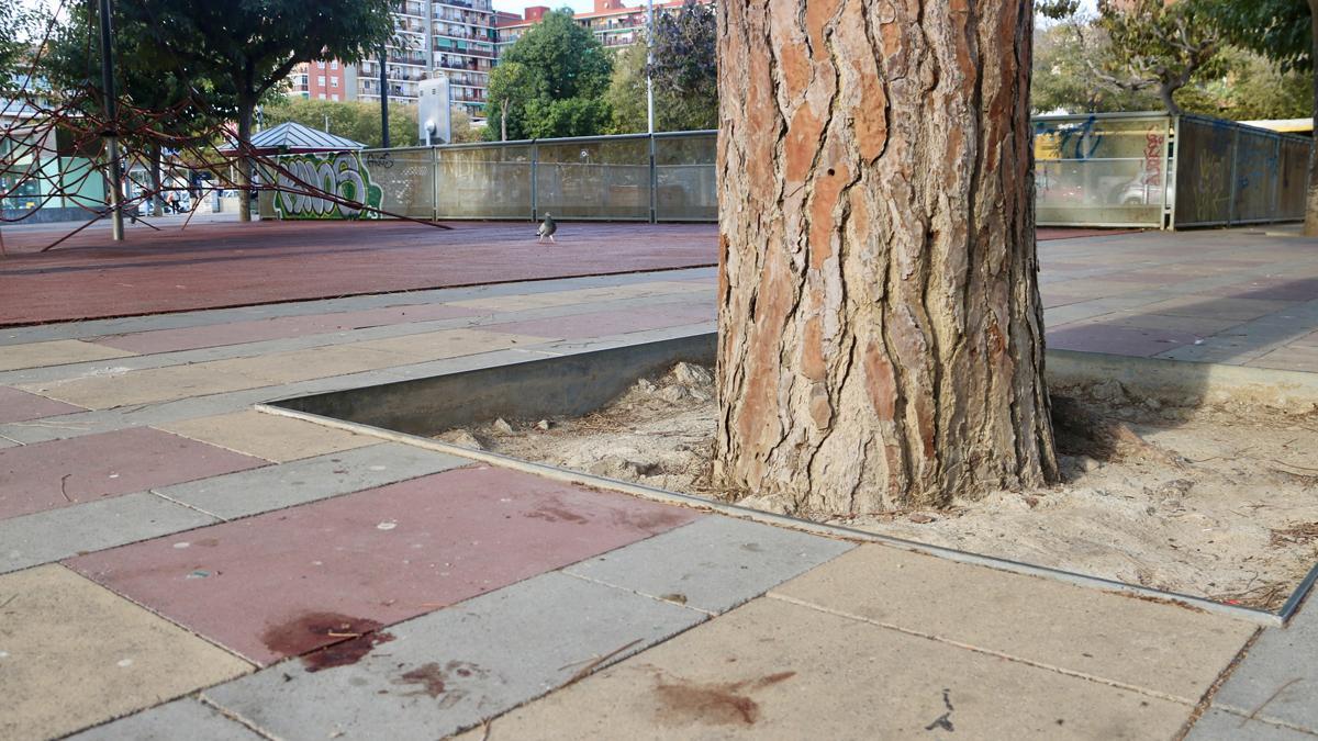 Lugar de la plaza de Pep Ventura, en Badalona, donde un hombre ha muerto apuñalado