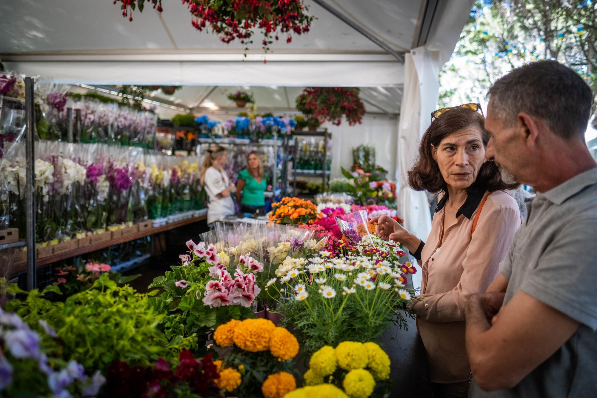 Inauguración de la exposición de flores y plantas del Parque García Sanabria