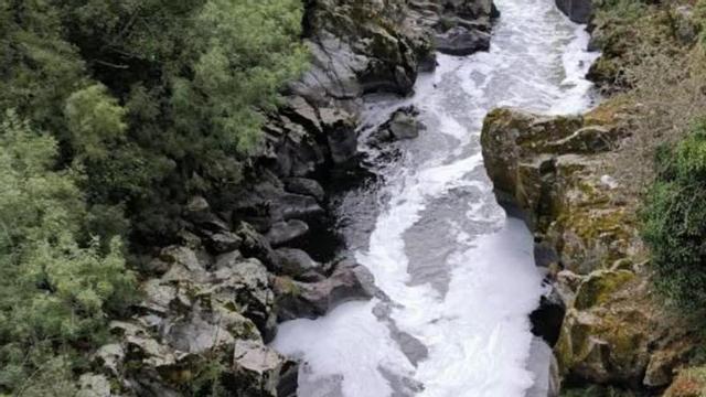 Efectos de contaminación reciente en el río Deza.