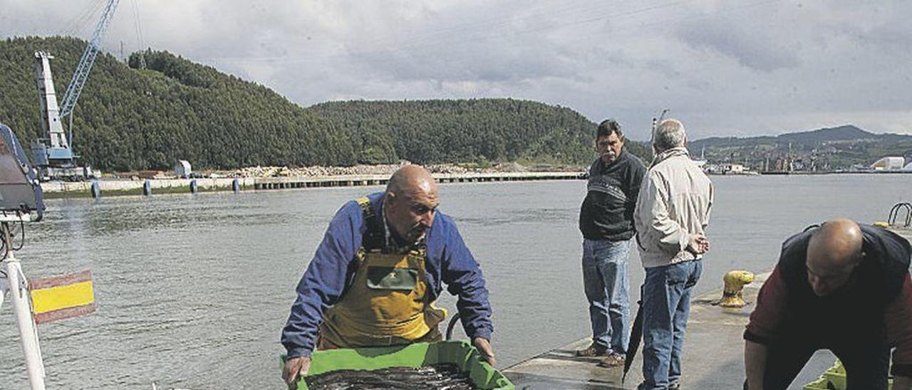 Los tripulantes del &quot;Siempre María&quot; descargan cajas de merluza en el muelle pesquero de Avilés.