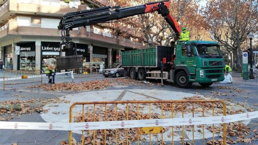 Un camió grua carregant un tros d’arbre tallat, a Crist Rei  | G.C.