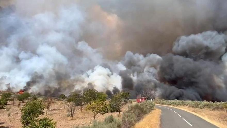 Un incendio forestal moviliza veintiún medios de extinción en La Tejera, en la Alta Sanabria