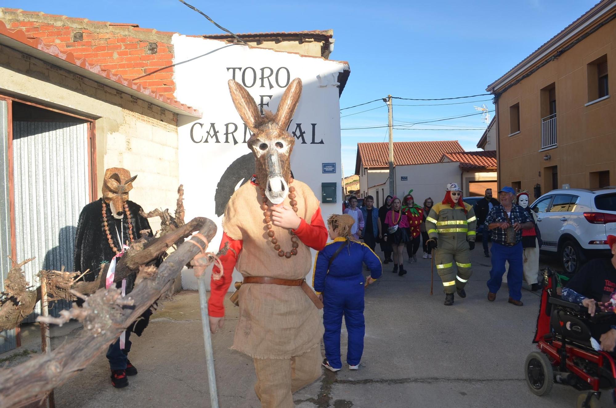 GALERÍA | Morales de Valverde y su Toro de Carnaval