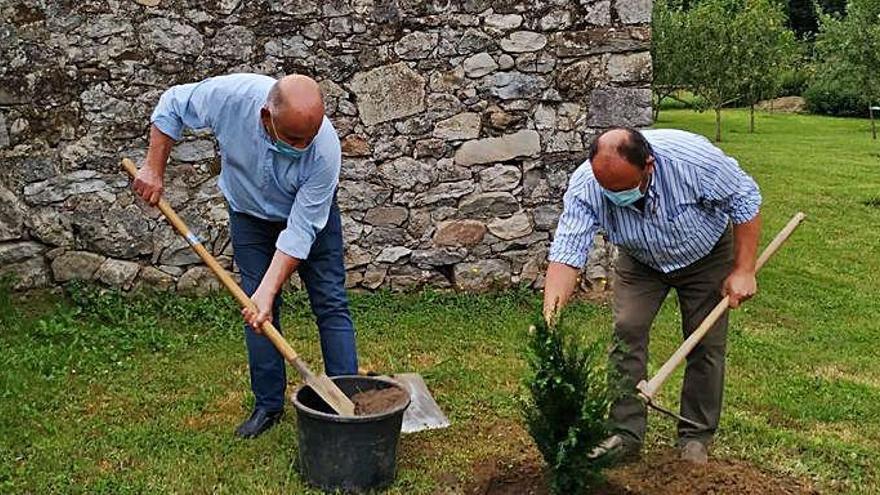 José Manuel Fernández y Víctor Álvarez, plantando el árbol.