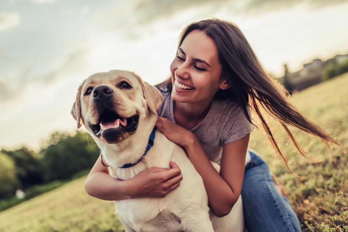 También los perros experimentan efectos positivos al jugar con humanos