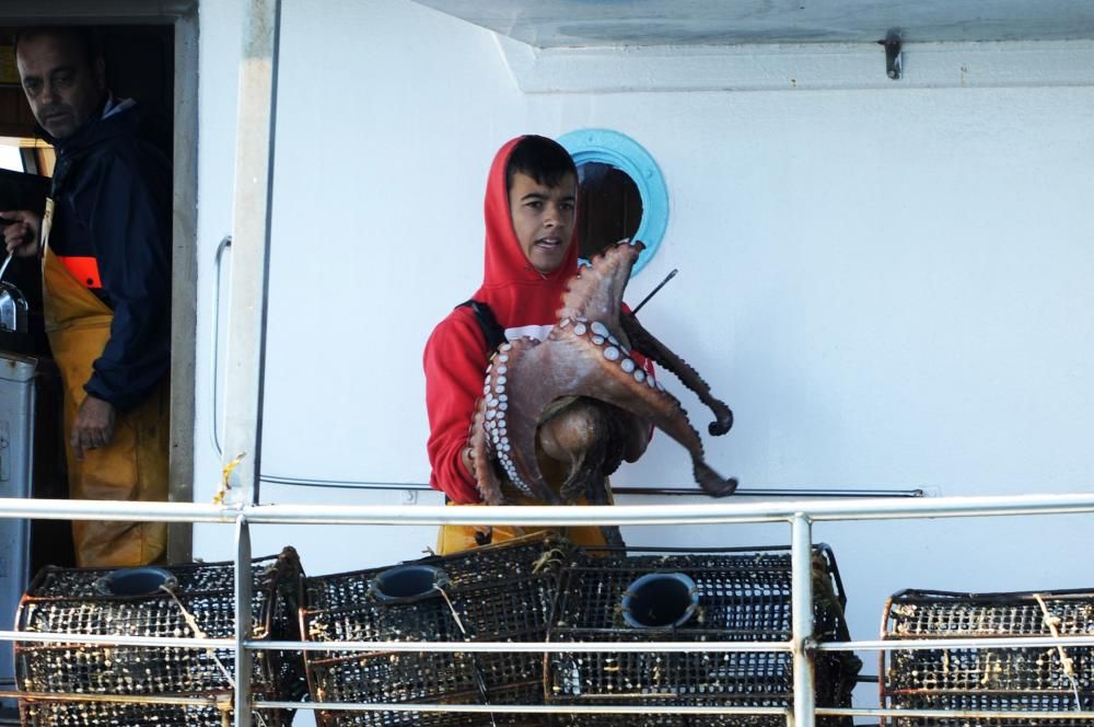 Primera jornada de pesca de pulpo en Arousa // I.Abella