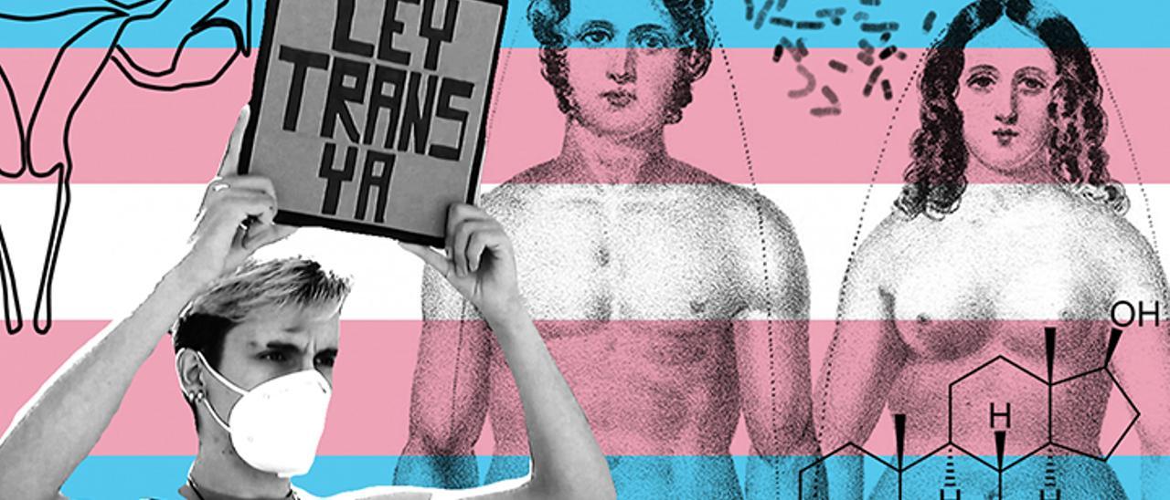 Ley Trans: ¿Qué sucede con los derechos de las personas trans en España?