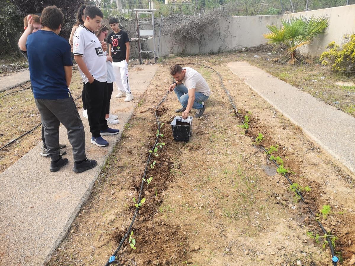 Explicant a l'alumnat com funciona el reg per degoteig.
