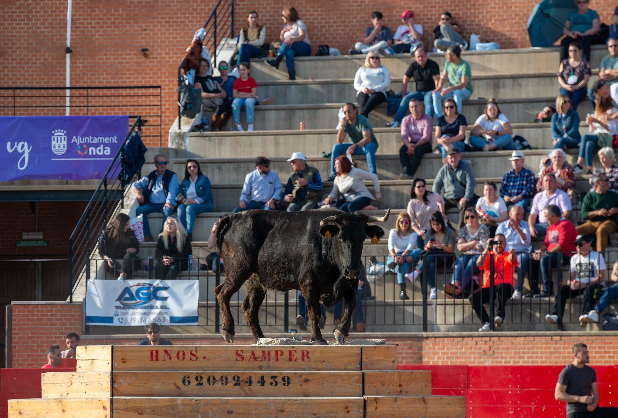 Primera jornada del concurso de ganaderías de la Pascua Taurina de Onda