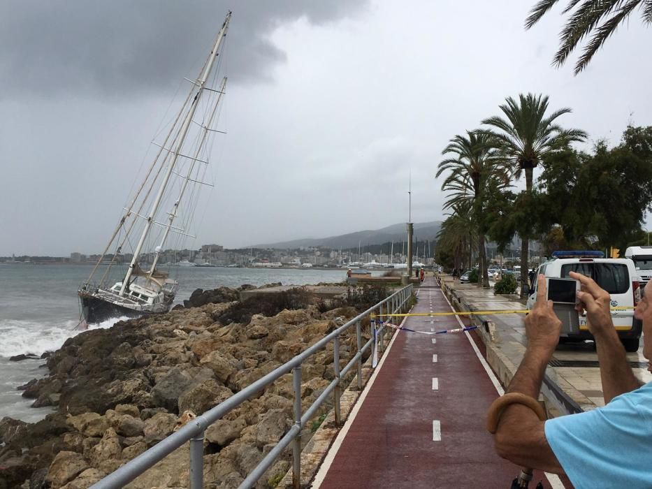 Un velero a la deriva embarranca en Palma