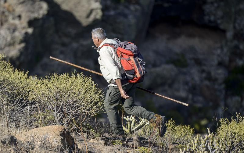 26/05/2018 TASARTICO, ALDEA DE SAN NICOLAS.  Apañada de cabras en la zona de Güi Güi, organizada por el Cabildo de Gran Canaria y  con la colaboración de distintos colectivos. FOTO: J. PÉREZ CURBELO  | 26/05/2018 | Fotógrafo: José Pérez Curbelo