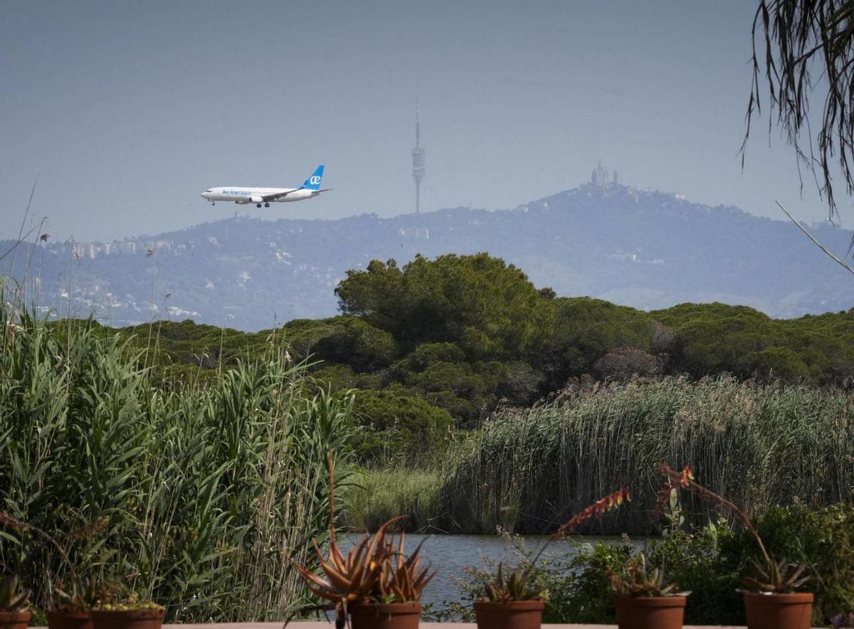 El Govern busca assessoria legal per afrontar l’ampliació de l’aeroport El Govern busca assessoria legal per afrontar l’ampliació de l’aeroport
