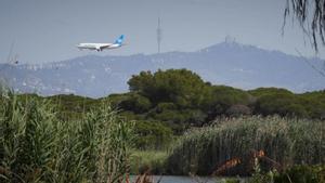 El Govern busca assessoria legal per afrontar l’ampliació de l’aeroport