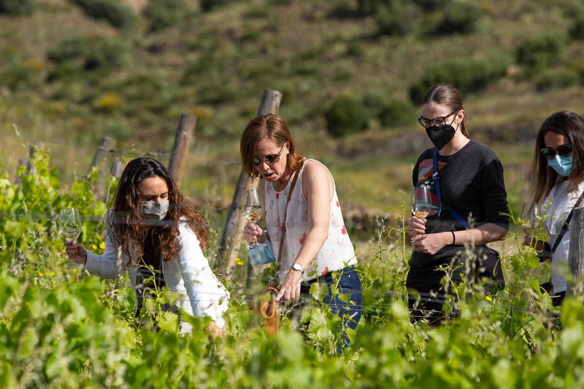 Assistents a  un esmorzar gastronòmic entre vinyes fet Colera