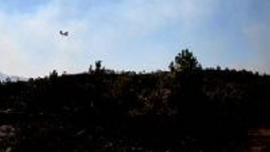 Detienen a un vecino de Valverde por provocar un incendio forestal