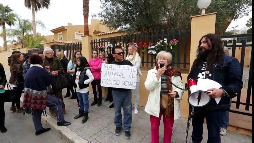 Medio centenar de personas protestan contra el asesinato de gatos en Benidorm