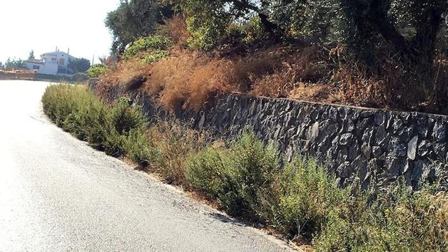 Cuneta de la carretera de Antequera