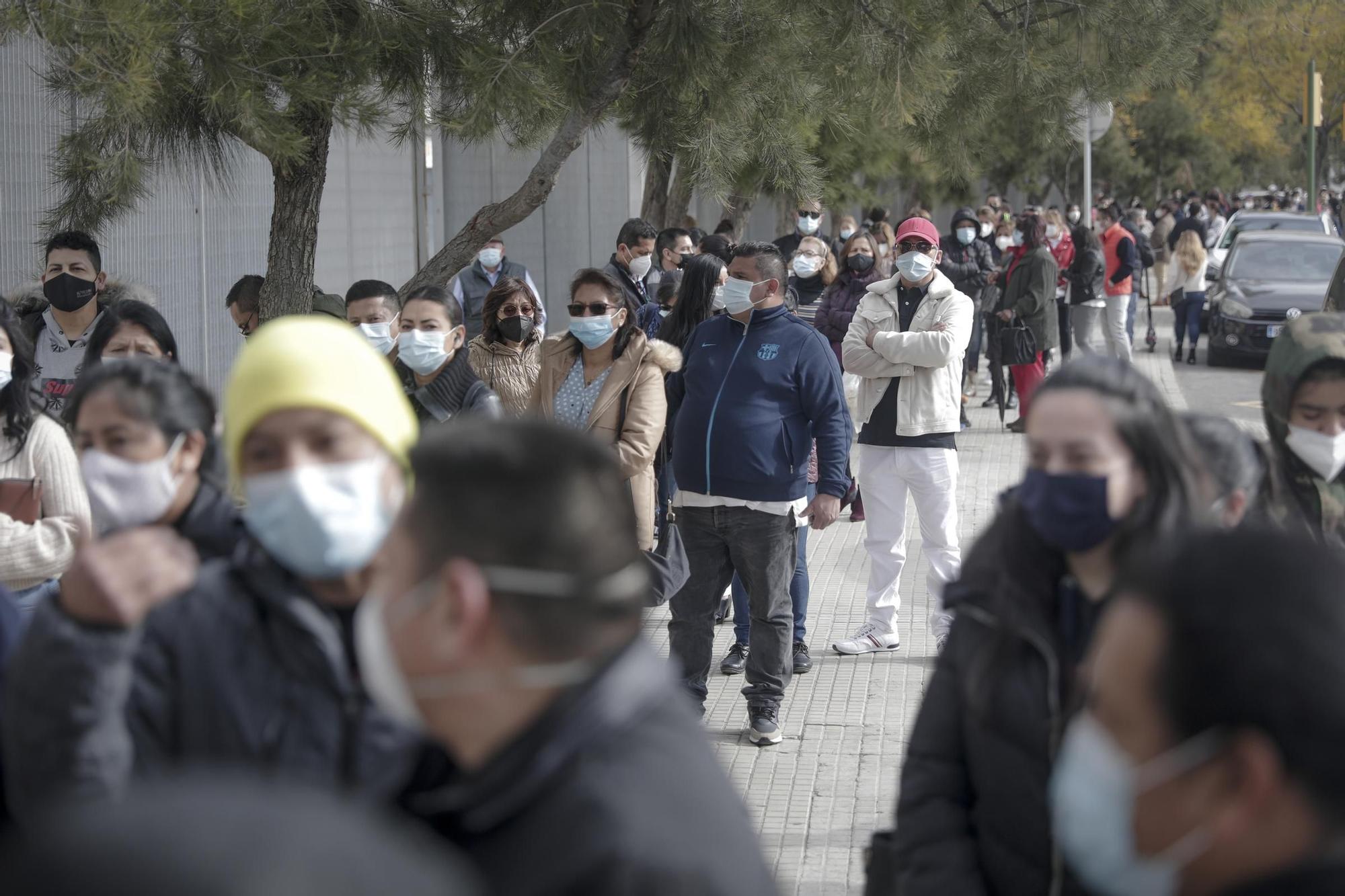 Aglomeraciones y "desorganización" en el arranque de las elecciones de Ecuador en Palma